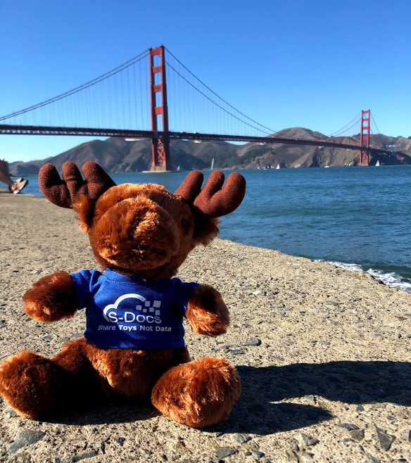 Max the Moose - Golden Gate Bridge Water-1 Max the Moose - Golden Gate Bridge Water-1
